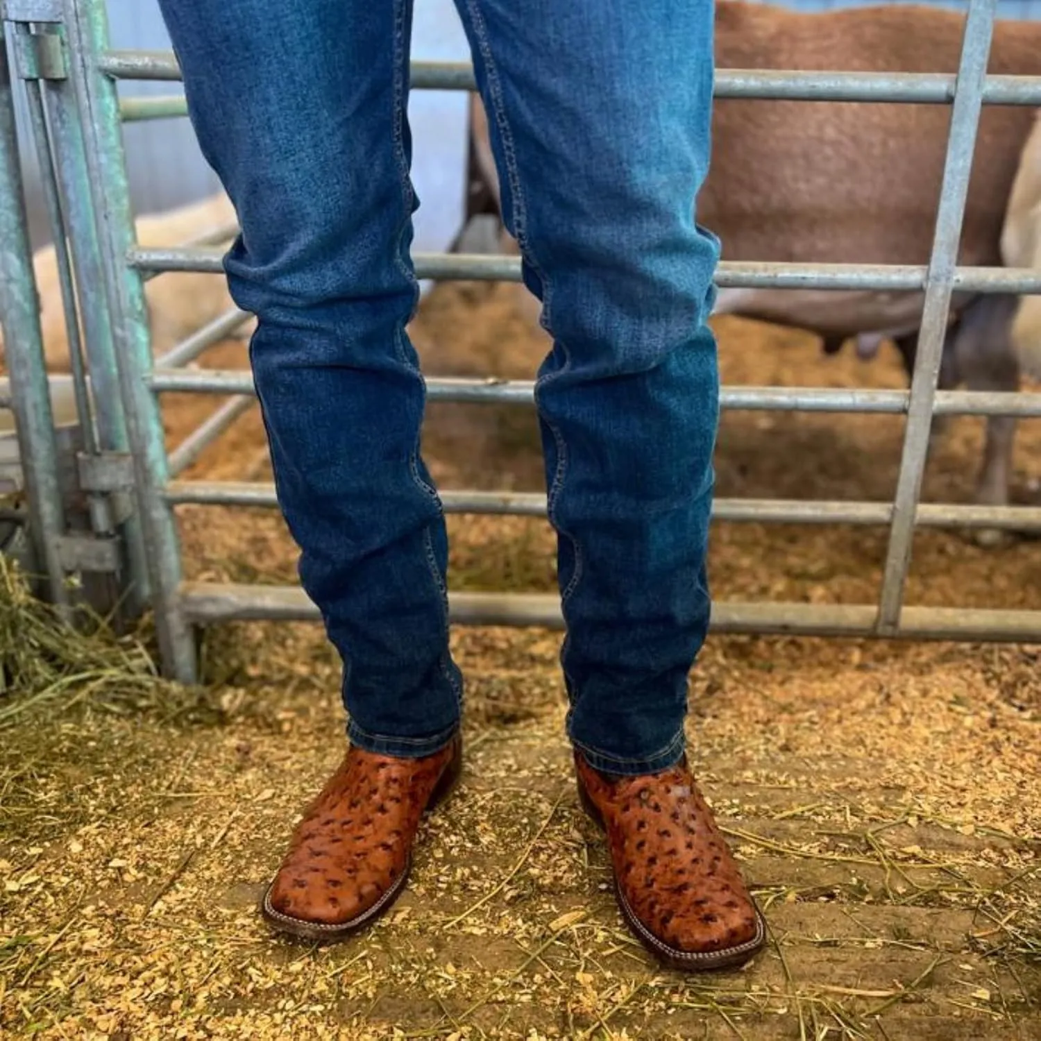 Joe Boots Western Boots For Men Ostrich Print Leather 701