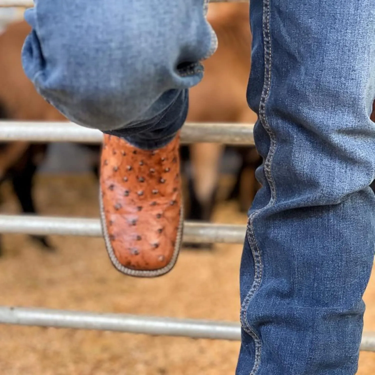 Joe Boots Western Boots For Men Ostrich Print Leather 701